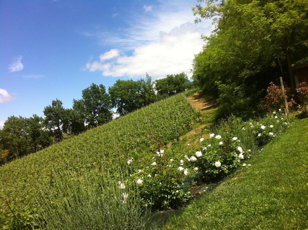 Villa Del Sole San Gimignano Bagian luar foto